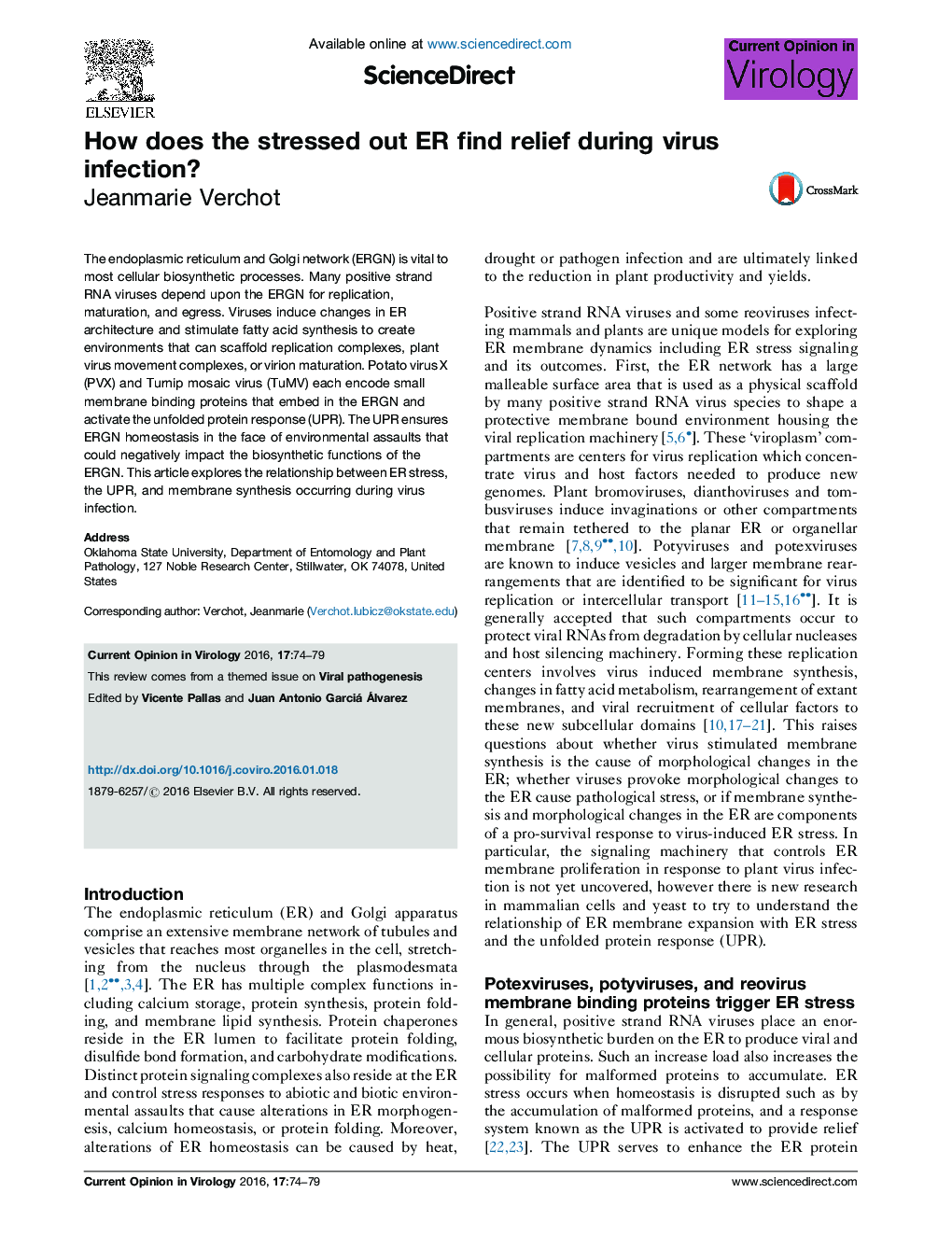 How does the stressed out ER find relief during virus infection?