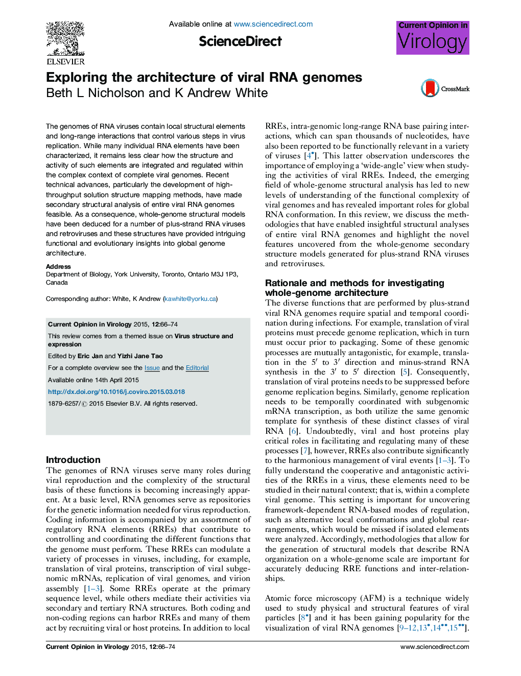 Exploring the architecture of viral RNA genomes