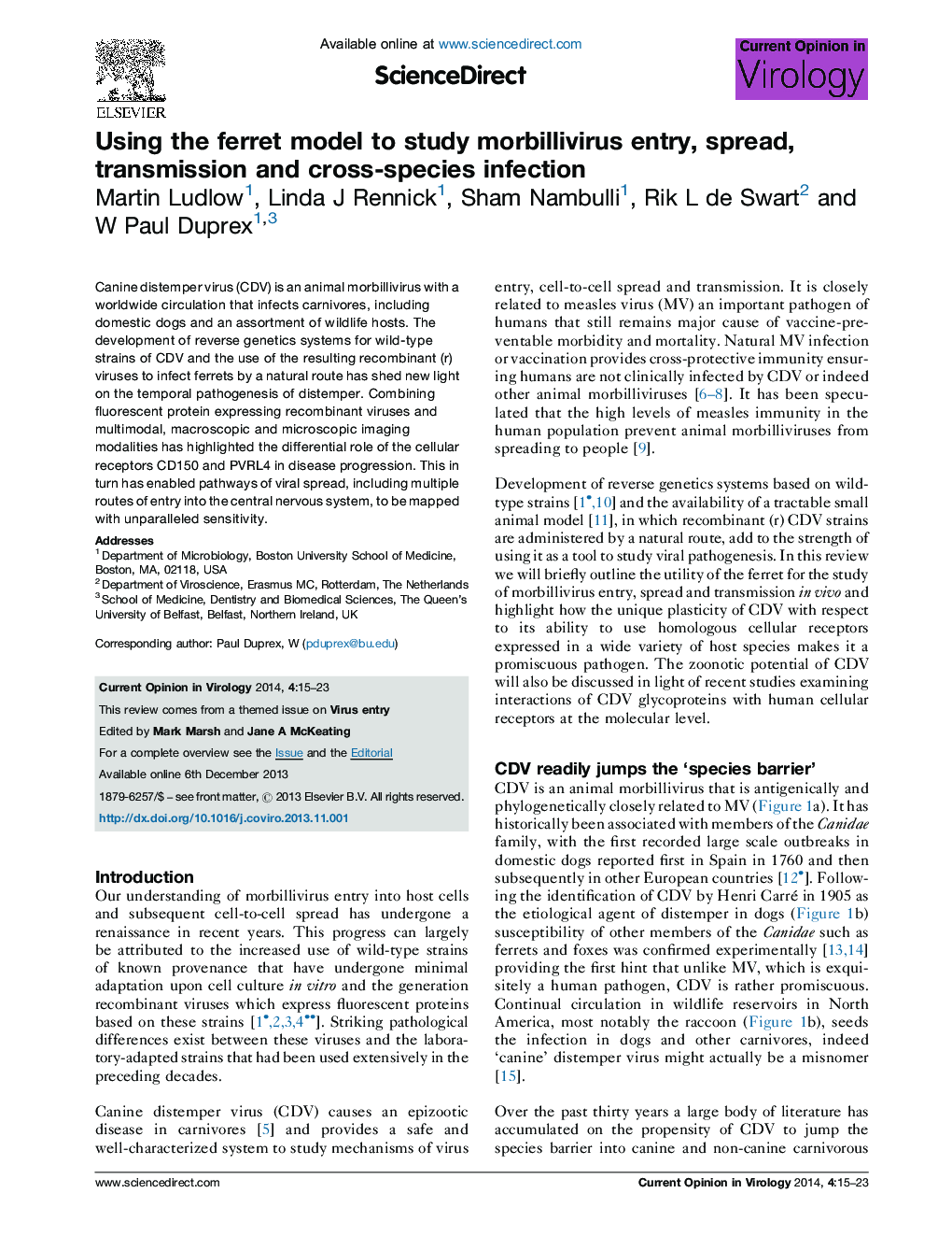 Using the ferret model to study morbillivirus entry, spread, transmission and cross-species infection