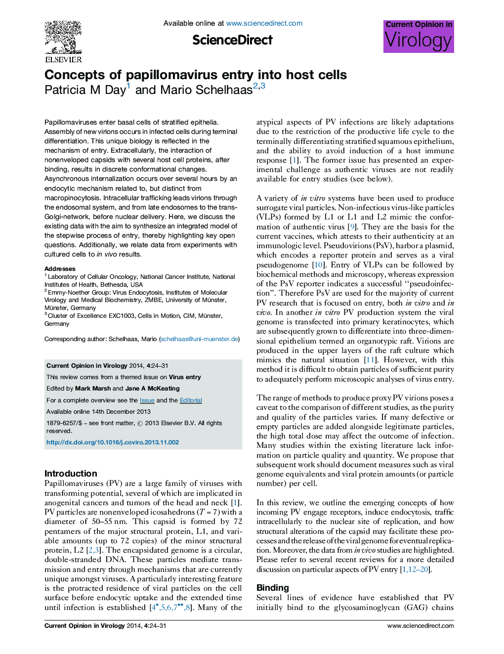 Concepts of papillomavirus entry into host cells