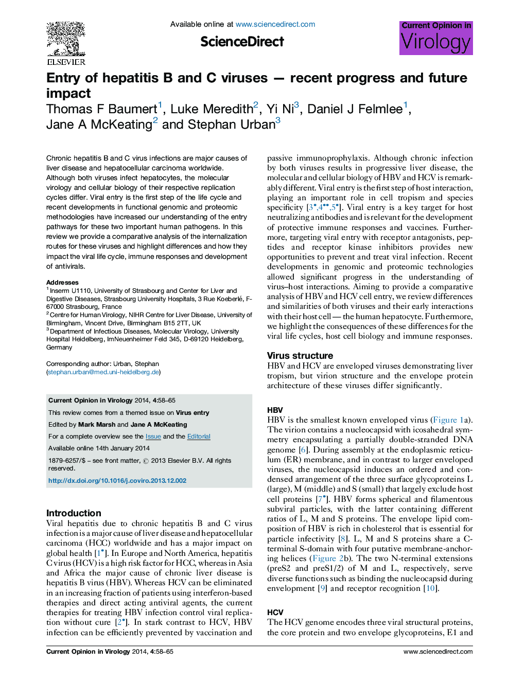 Entry of hepatitis B and C viruses - recent progress and future impact