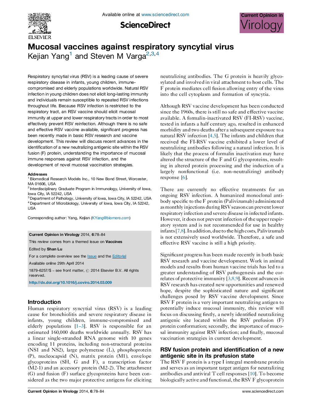 Mucosal vaccines against respiratory syncytial virus