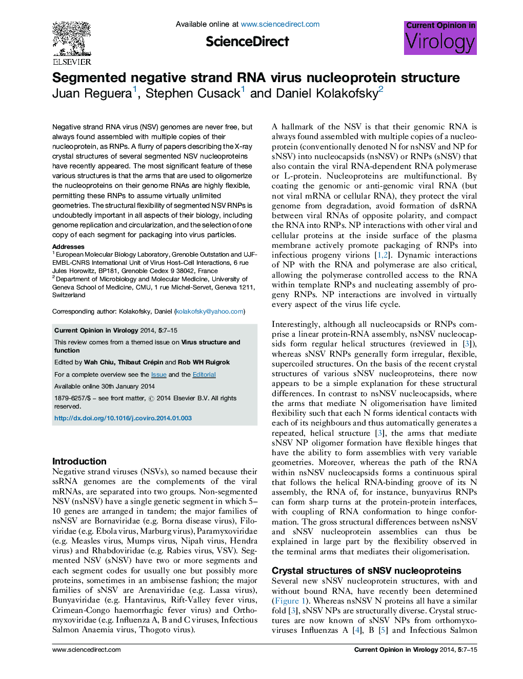 Segmented negative strand RNA virus nucleoprotein structure