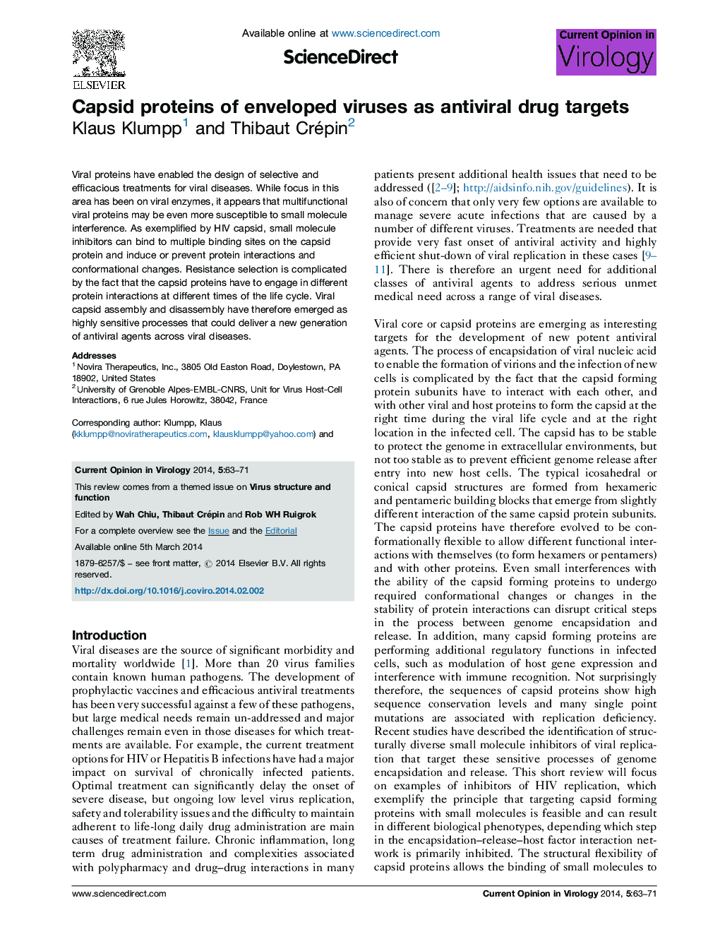 Capsid proteins of enveloped viruses as antiviral drug targets