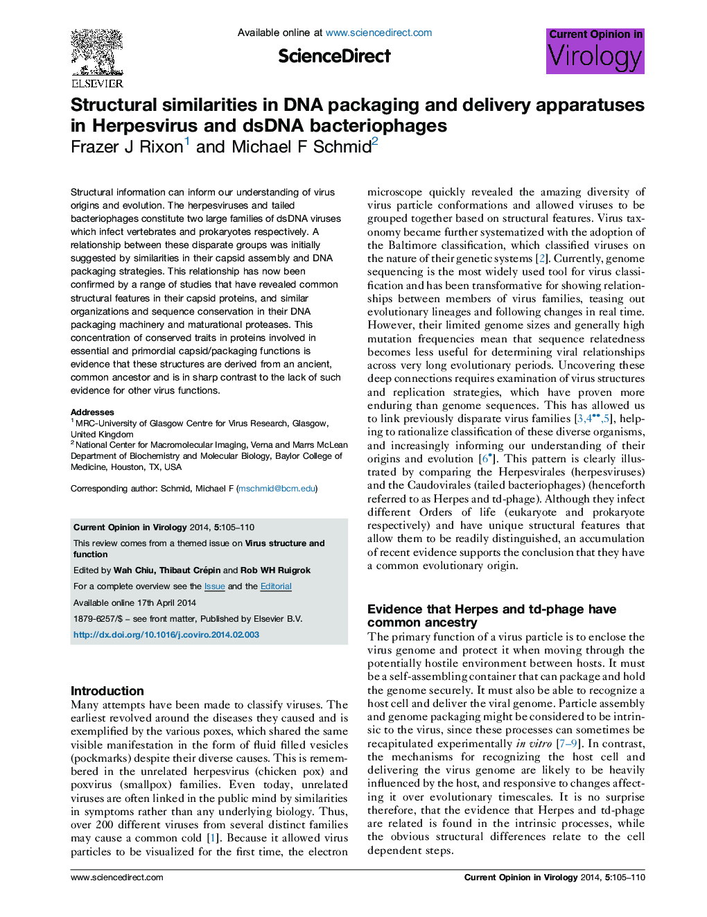 Structural similarities in DNA packaging and delivery apparatuses in Herpesvirus and dsDNA bacteriophages