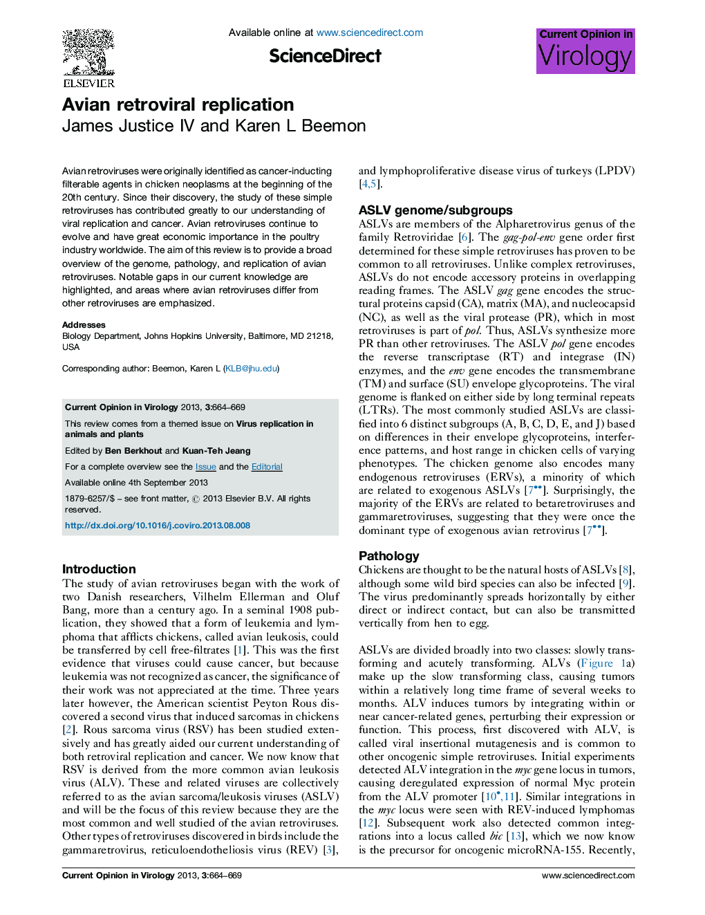 Avian retroviral replication