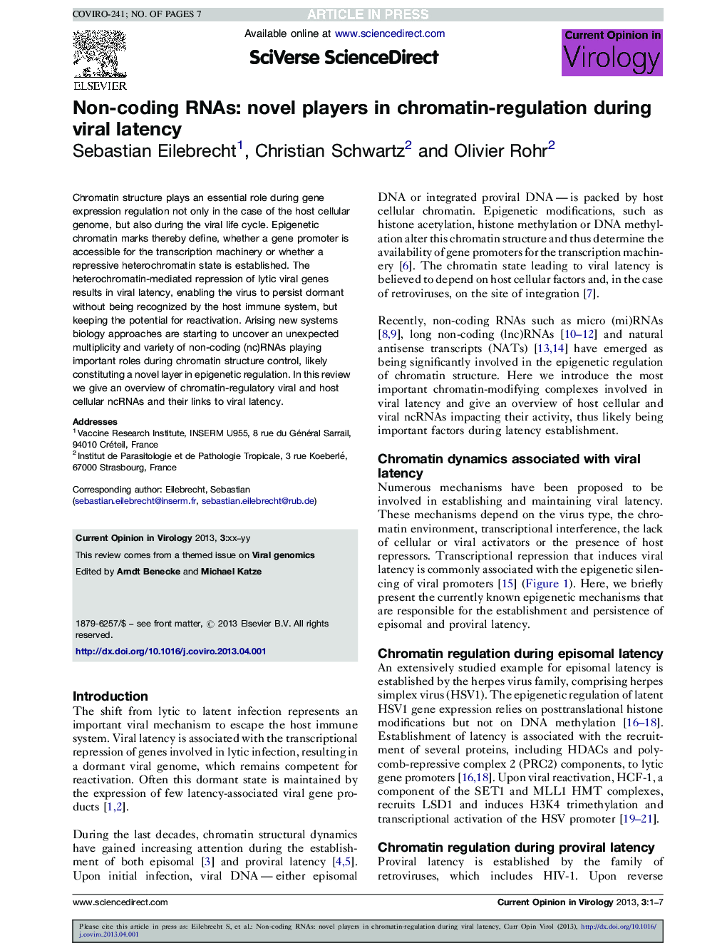 Non-coding RNAs: novel players in chromatin-regulation during viral latency