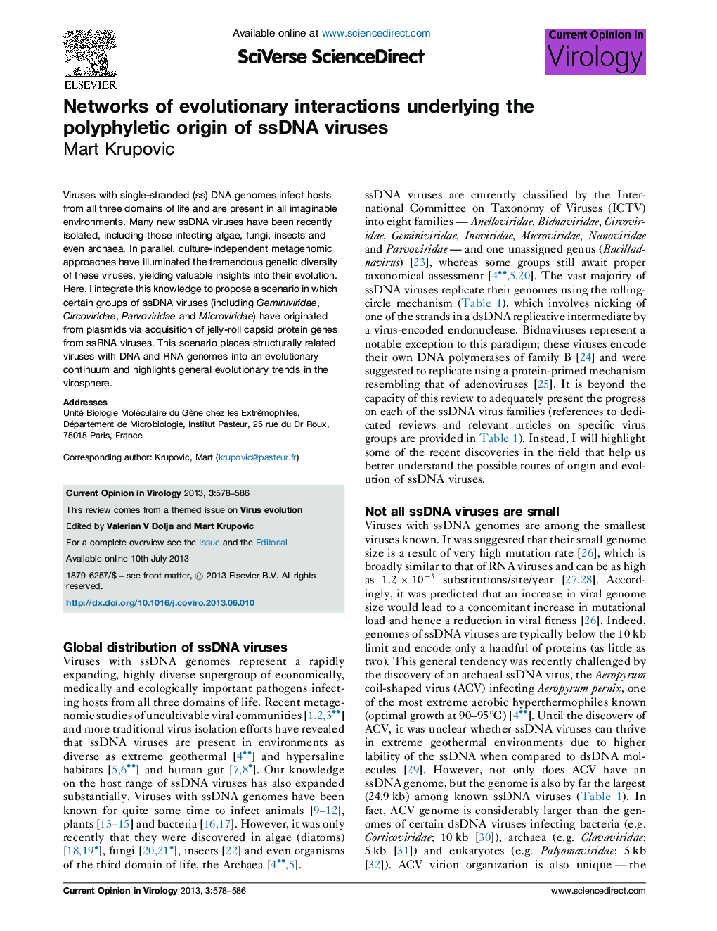 Networks of evolutionary interactions underlying the polyphyletic origin of ssDNA viruses