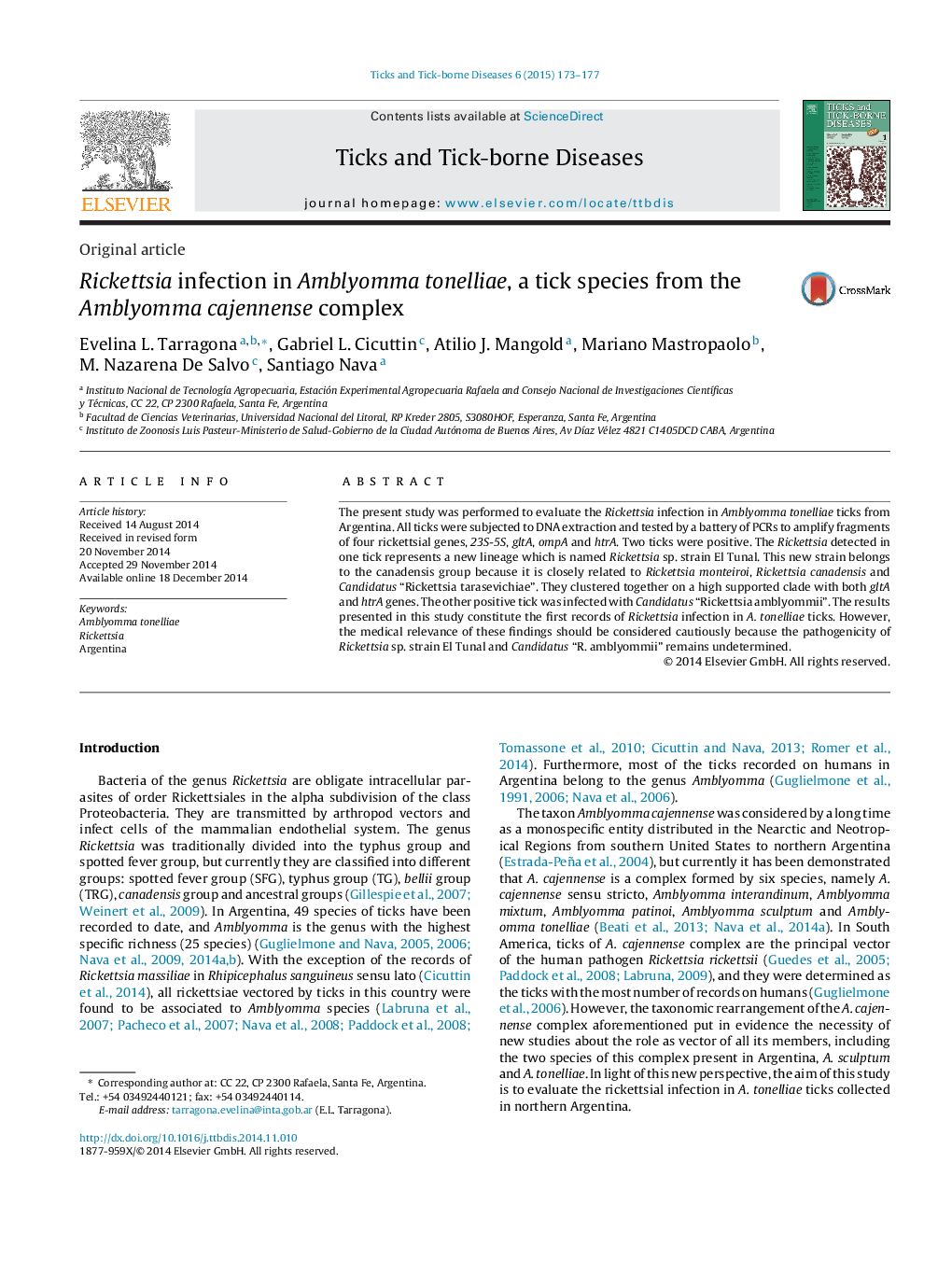 Rickettsia infection in Amblyomma tonelliae, a tick species from the Amblyomma cajennense complex