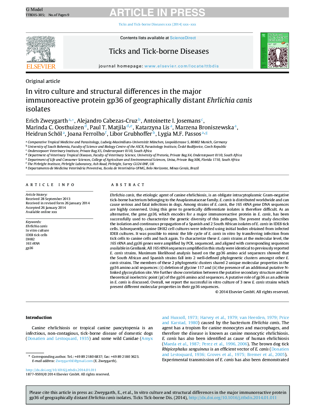 In vitro culture and structural differences in the major immunoreactive protein gp36 of geographically distant Ehrlichia canis isolates