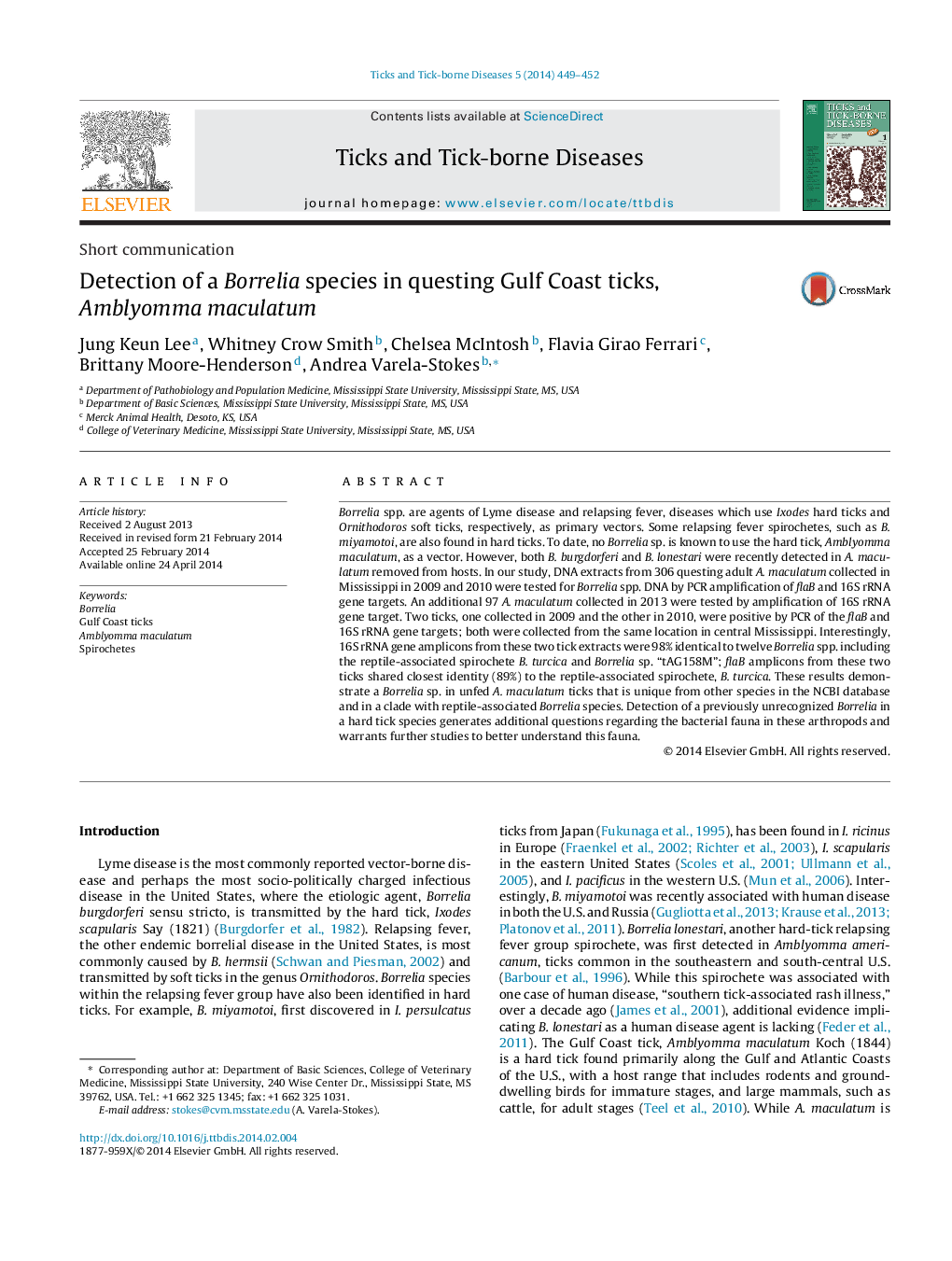 Short communicationDetection of a Borrelia species in questing Gulf Coast ticks, Amblyomma maculatum