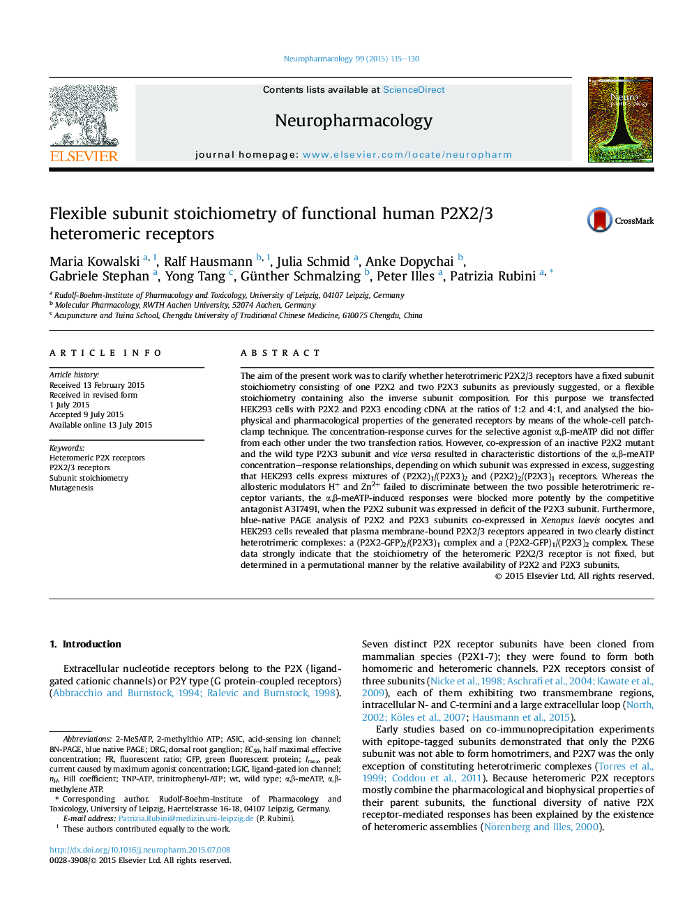 Flexible subunit stoichiometry of functional human P2X2/3 heteromeric receptors