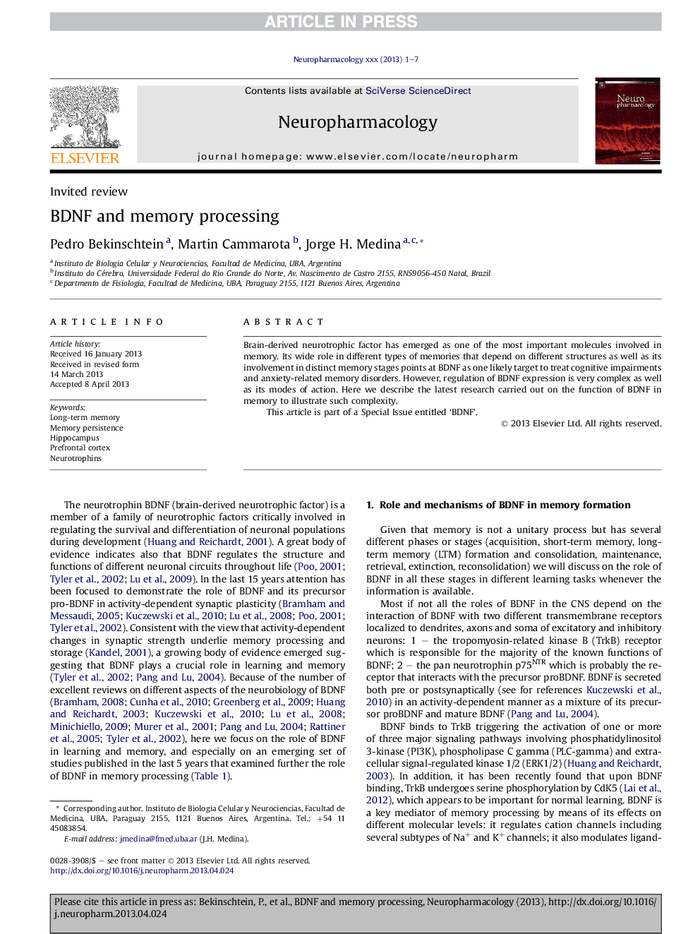 BDNF and memory processing