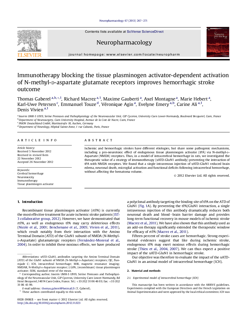 Immunotherapy blocking the tissue plasminogen activator-dependent activation of N-methyl-d-aspartate glutamate receptors improves hemorrhagic stroke outcome