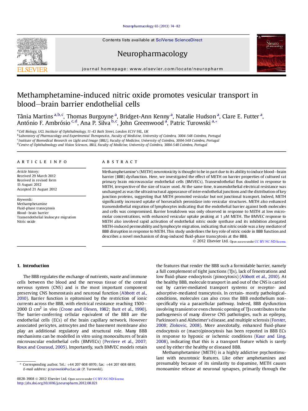 Methamphetamine-induced nitric oxide promotes vesicular transport in blood-brain barrier endothelial cells