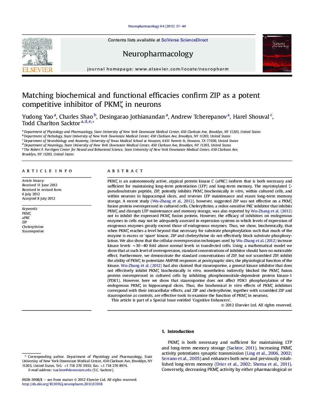 Matching biochemical and functional efficacies confirm ZIP as a potent competitive inhibitor of PKMÎ¶ in neurons