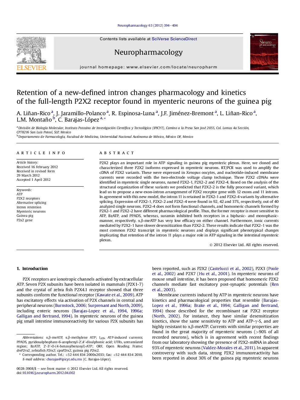 Retention of a new-defined intron changes pharmacology and kinetics of the full-length P2X2 receptor found in myenteric neurons of the guinea pig