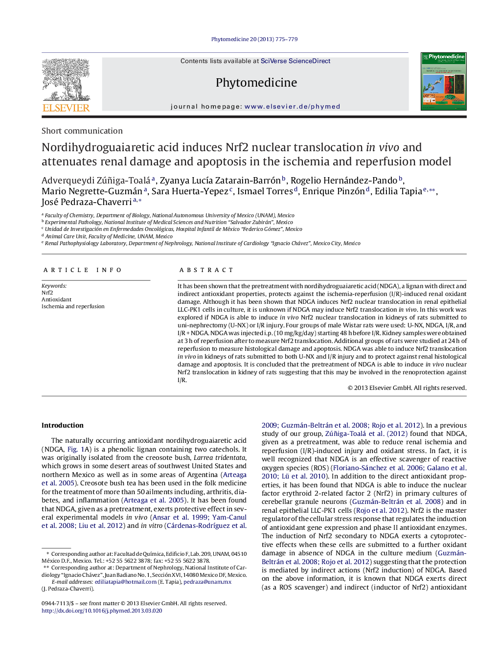 Nordihydroguaiaretic acid induces Nrf2 nuclear translocation in vivo and attenuates renal damage and apoptosis in the ischemia and reperfusion model