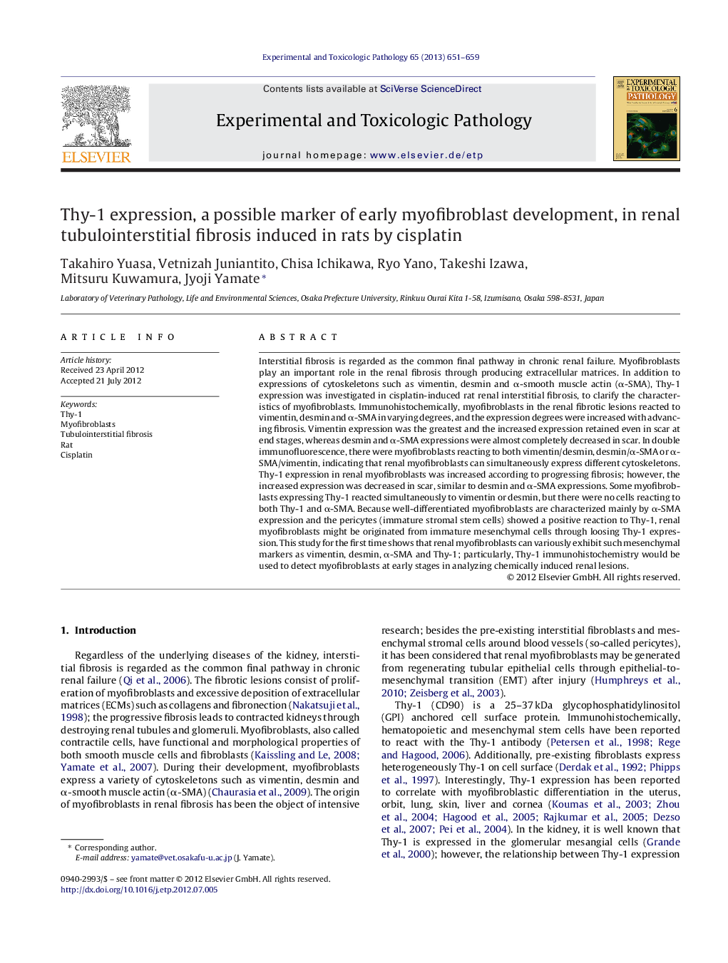 Thy-1 expression, a possible marker of early myofibroblast development, in renal tubulointerstitial fibrosis induced in rats by cisplatin