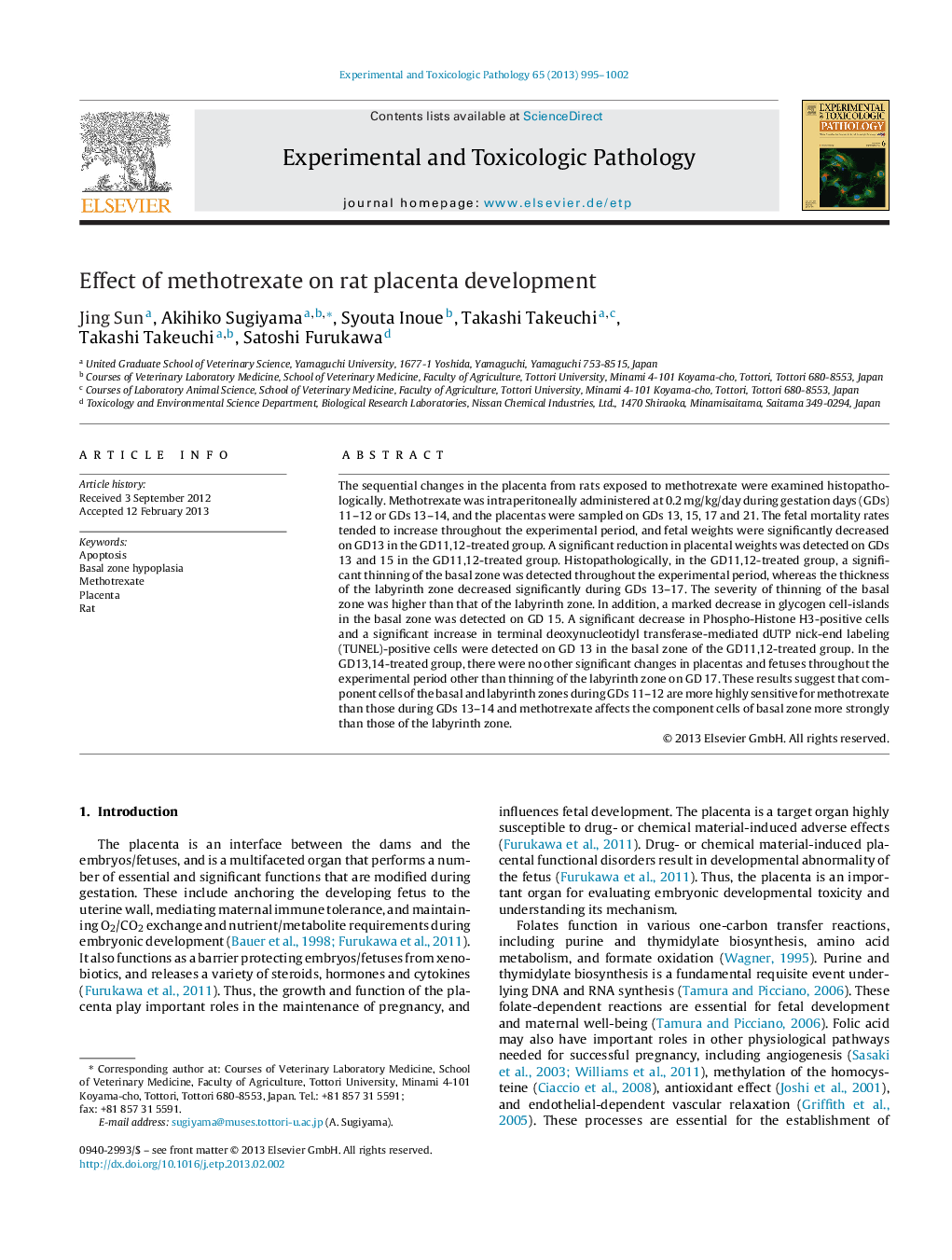 Effect of methotrexate on rat placenta development