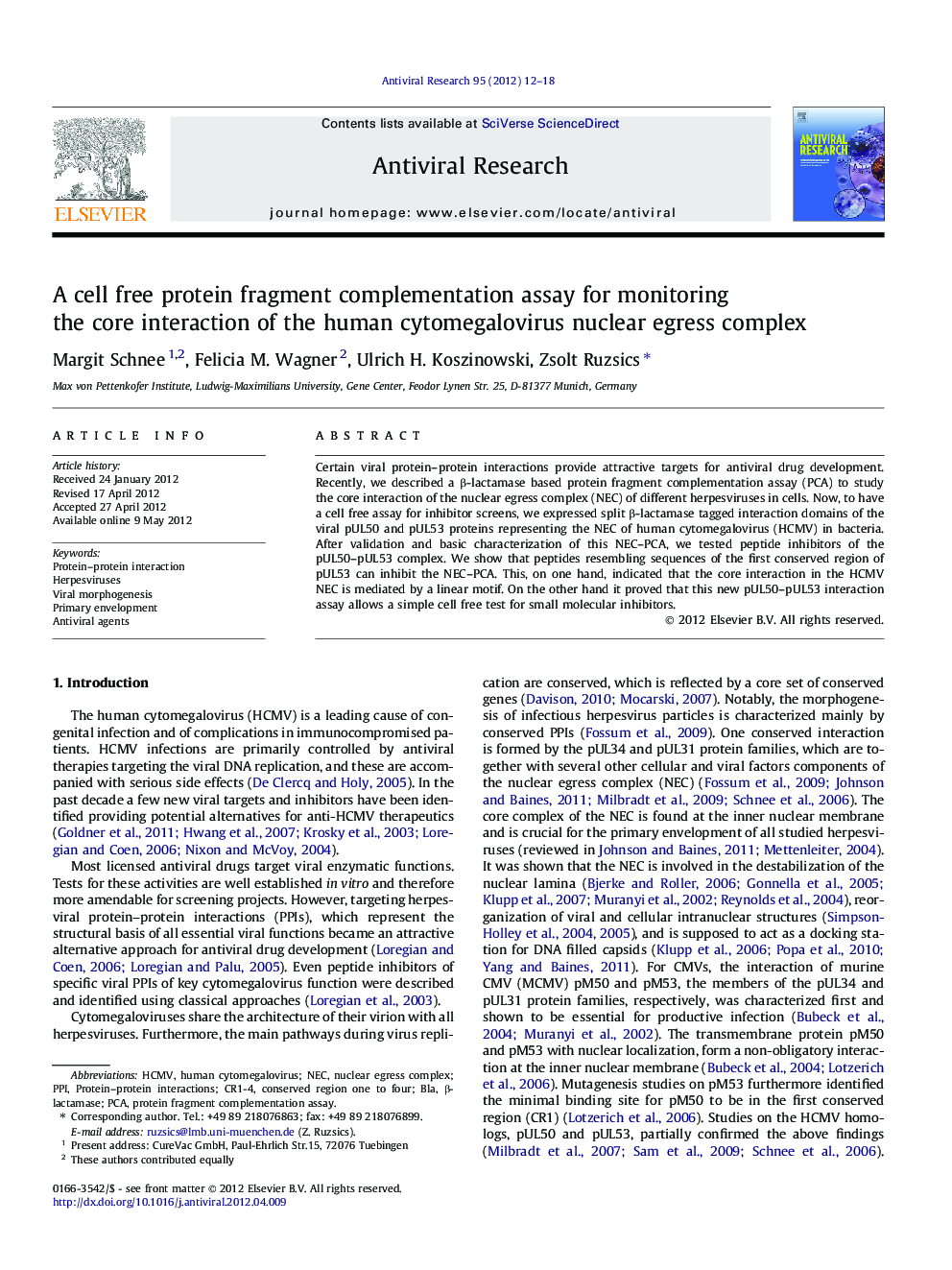 A cell free protein fragment complementation assay for monitoring the core interaction of the human cytomegalovirus nuclear egress complex