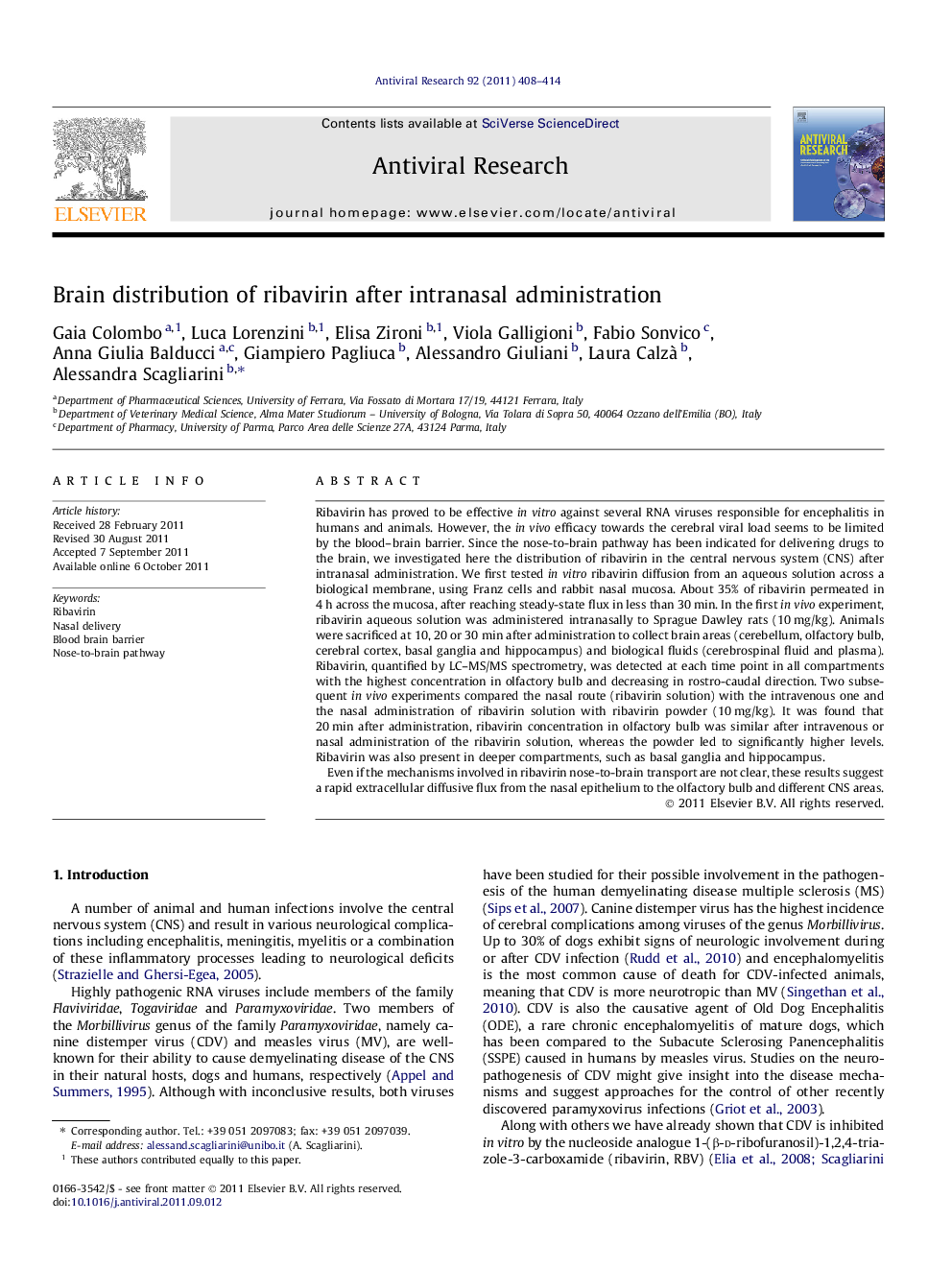 Brain distribution of ribavirin after intranasal administration