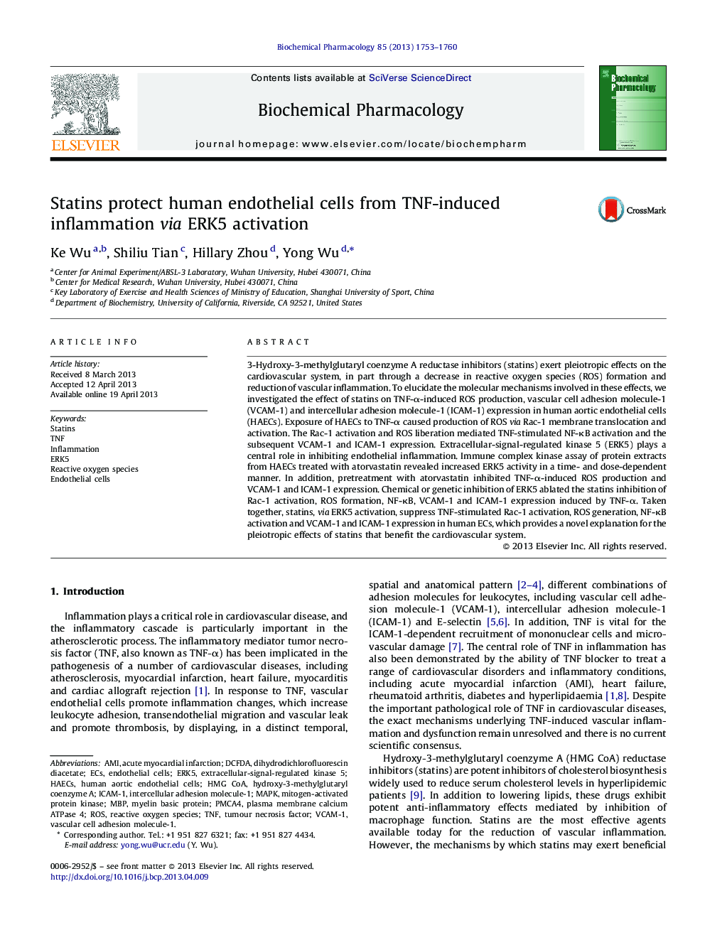 Statins protect human endothelial cells from TNF-induced inflammation via ERK5 activation