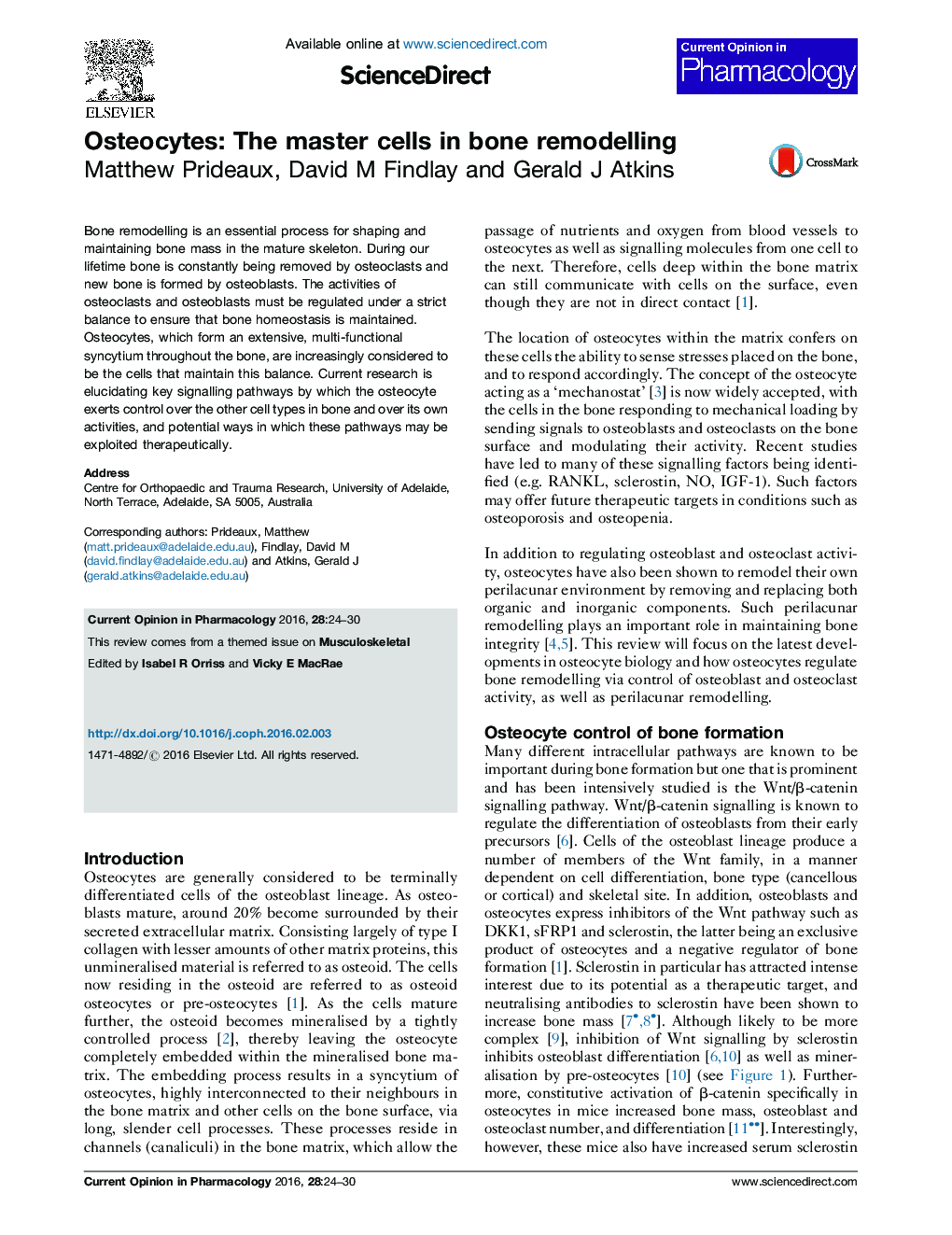 Osteocytes: The master cells in bone remodelling