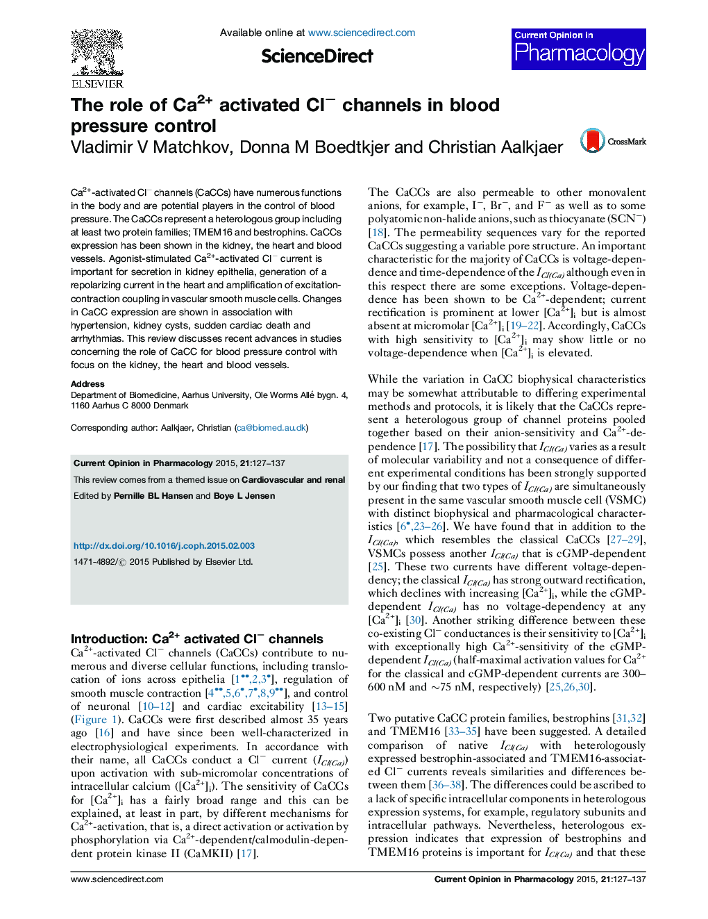 The role of Ca2+ activated Clâ channels in blood pressure control