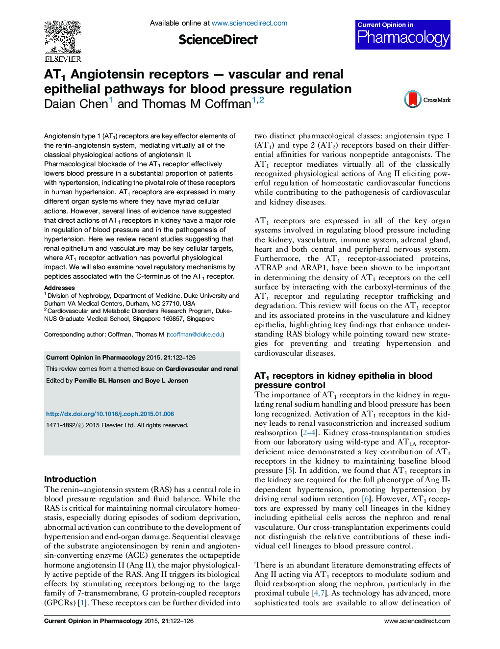 AT1 Angiotensin receptorsÂ -Â vascular and renal epithelial pathways for blood pressure regulation