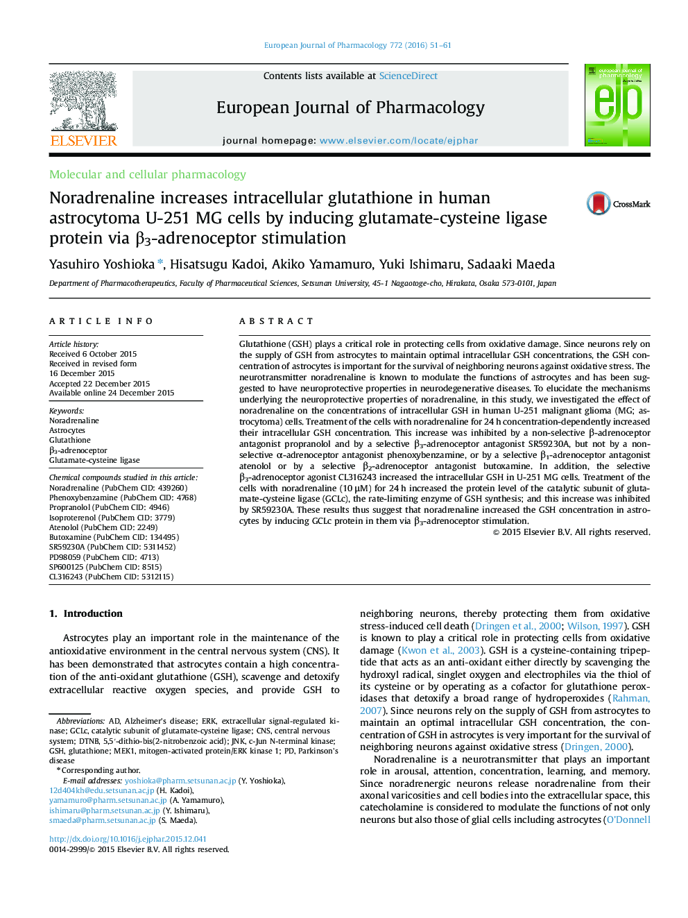 Molecular and cellular pharmacologyNoradrenaline increases intracellular glutathione in human astrocytoma U-251 MG cells by inducing glutamate-cysteine ligase protein via Î²3-adrenoceptor stimulation