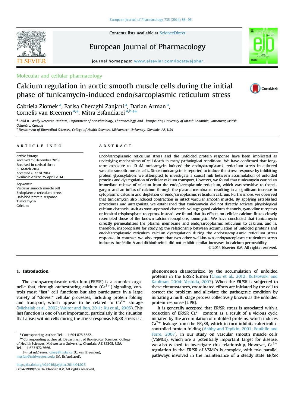 Calcium regulation in aortic smooth muscle cells during the initial phase of tunicamycin-induced endo/sarcoplasmic reticulum stress