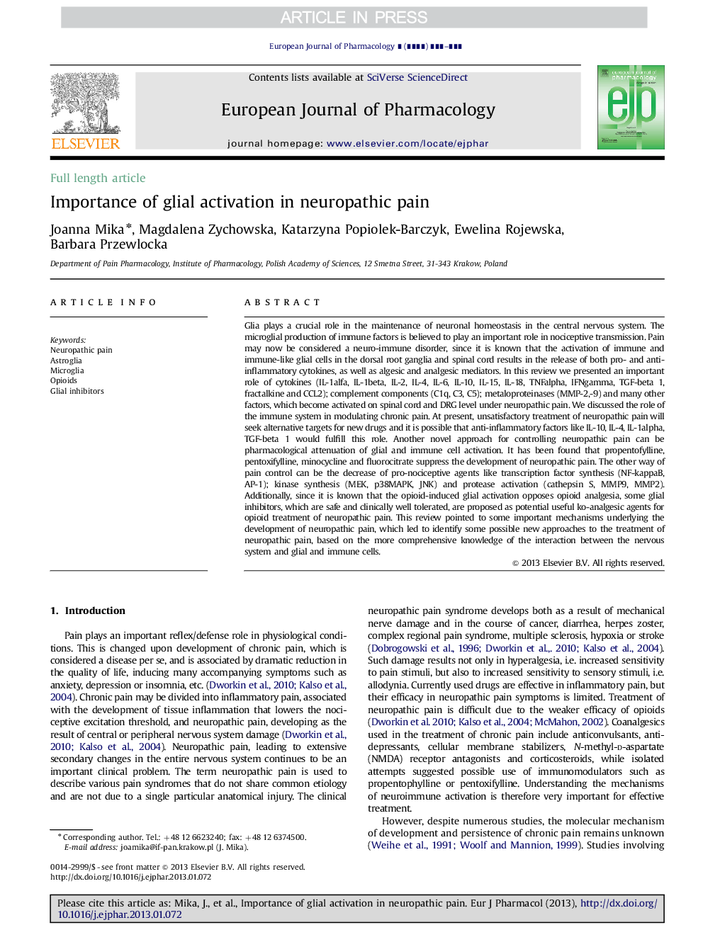 Importance of glial activation in neuropathic pain