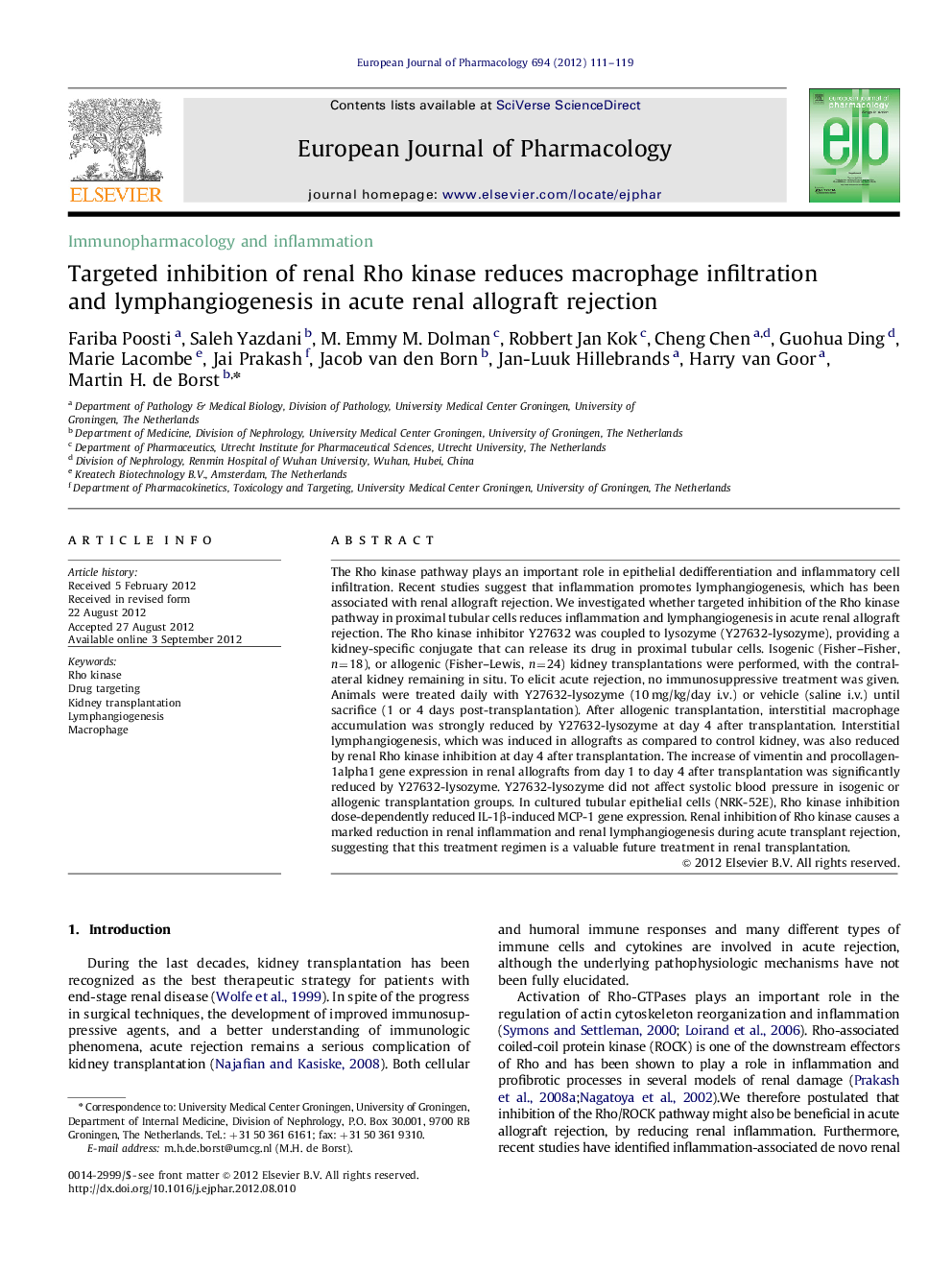 Immunopharmacology and inflammationTargeted inhibition of renal Rho kinase reduces macrophage infiltration and lymphangiogenesis in acute renal allograft rejection