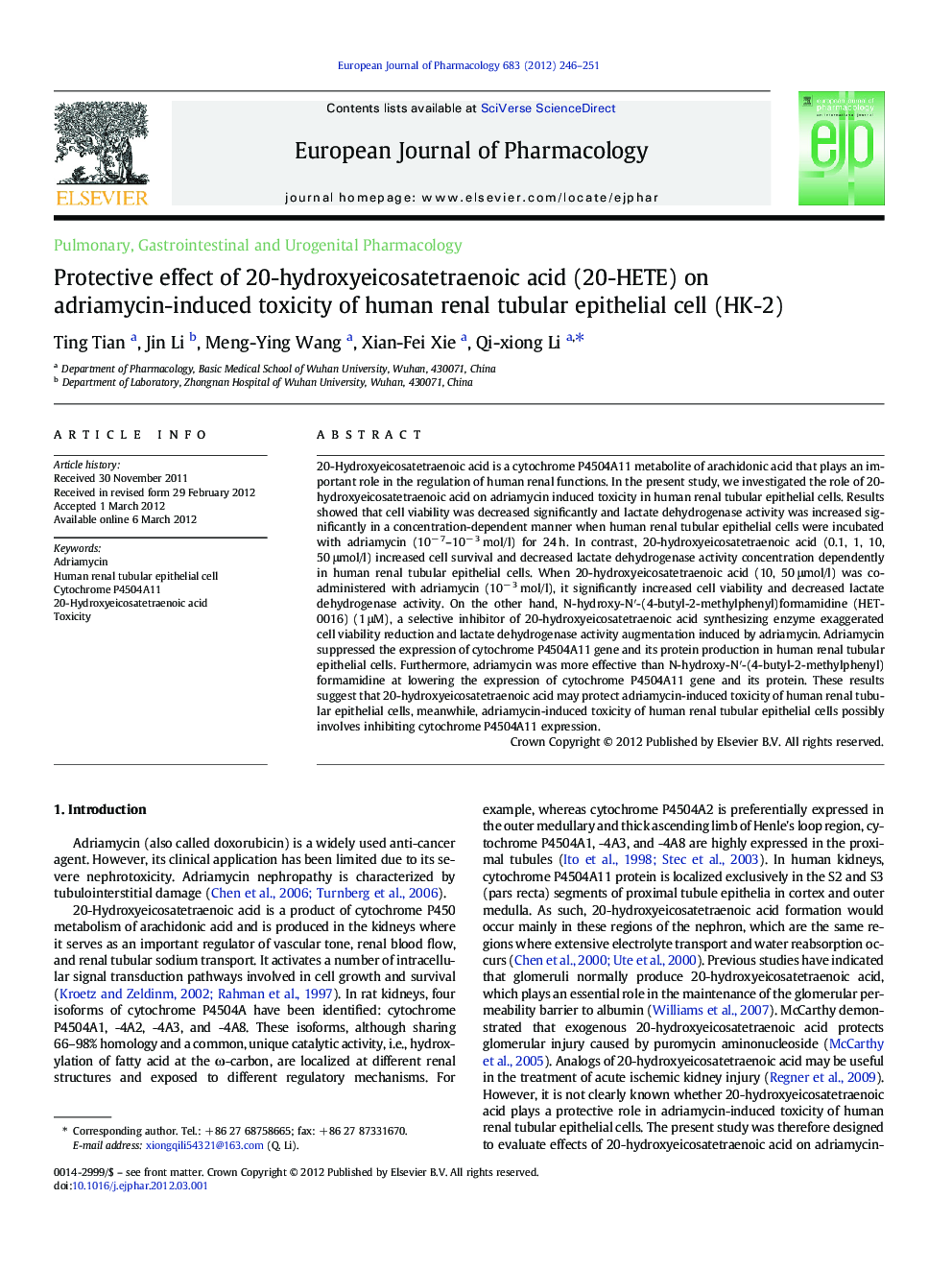 Protective effect of 20-hydroxyeicosatetraenoic acid (20-HETE) on adriamycin-induced toxicity of human renal tubular epithelial cell (HK-2)