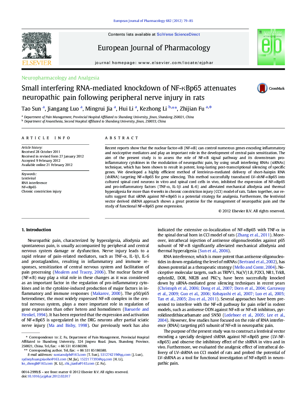 Small interfering RNA-mediated knockdown of NF-ÎºBp65 attenuates neuropathic pain following peripheral nerve injury in rats