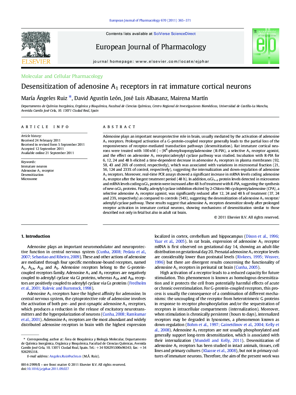 Desensitization of adenosine A1 receptors in rat immature cortical neurons