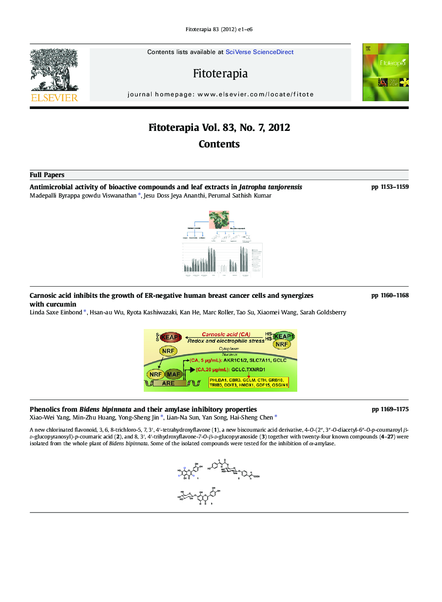Graphical Abstract
