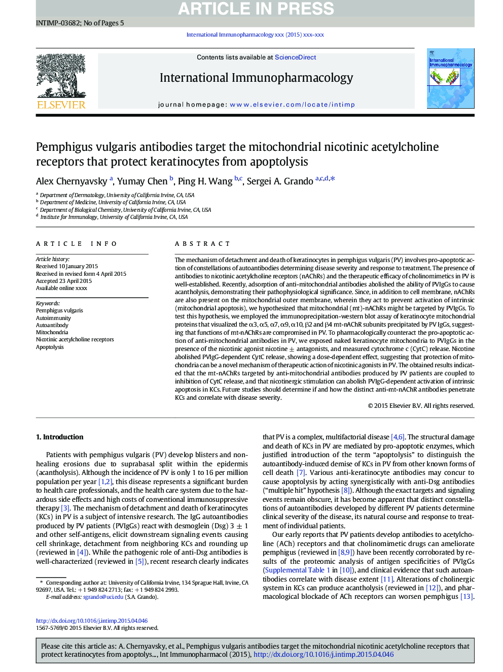 Pemphigus vulgaris antibodies target the mitochondrial nicotinic acetylcholine receptors that protect keratinocytes from apoptolysis