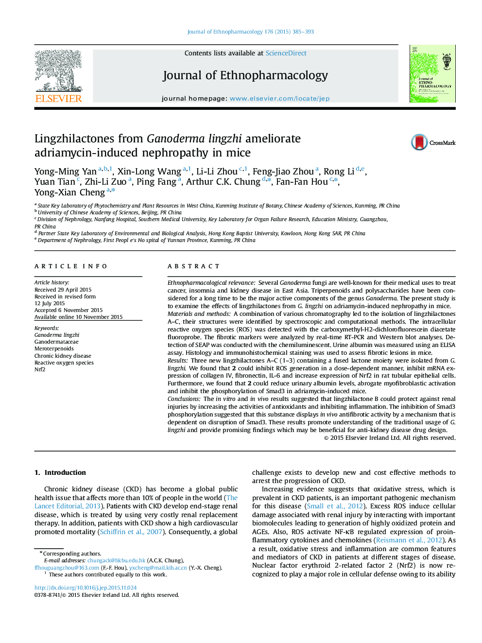 Lingzhilactones from Ganoderma lingzhi ameliorate adriamycin-induced nephropathy in mice