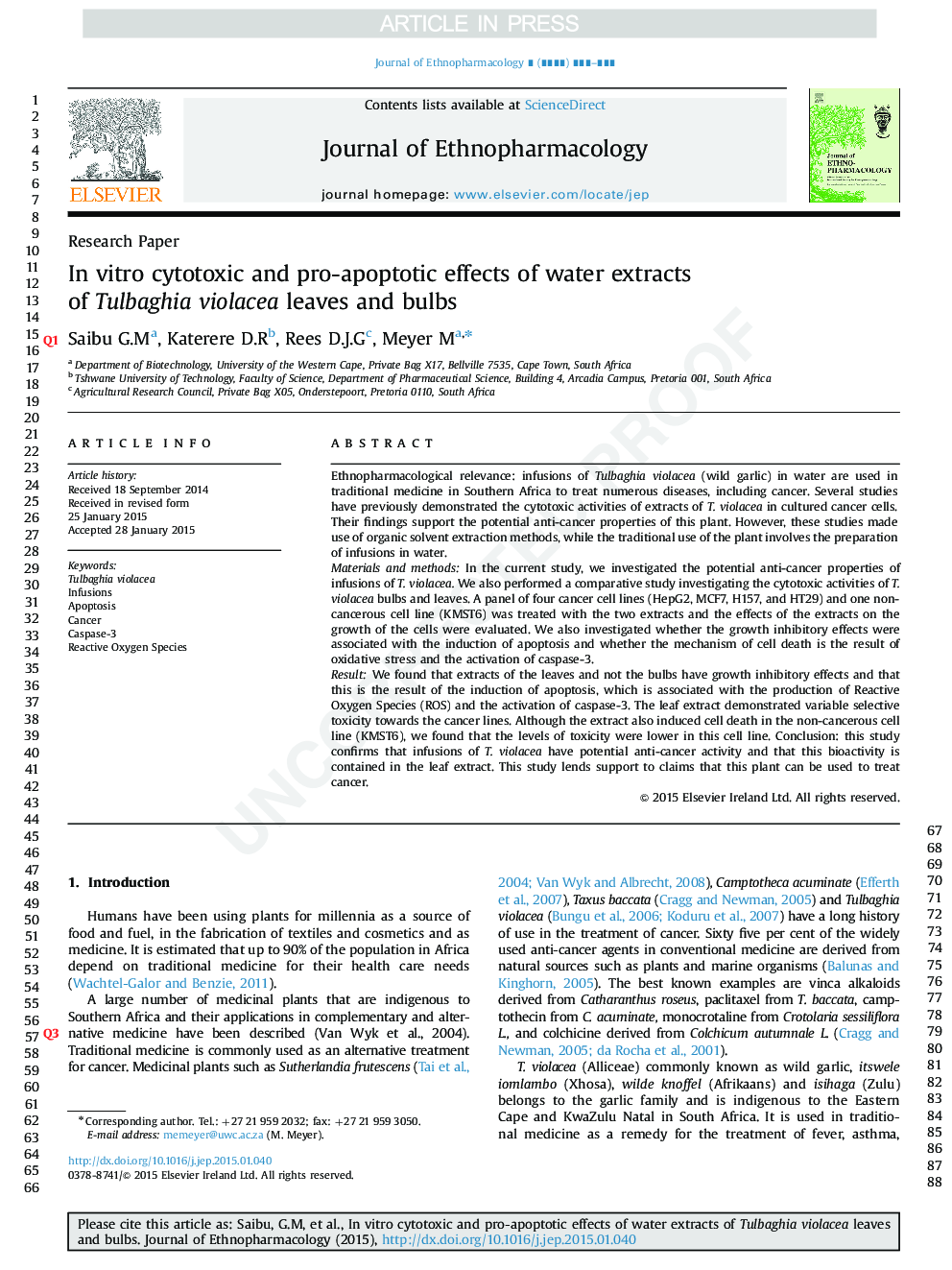 In vitro cytotoxic and pro-apoptotic effects of water extracts of Tulbaghia violacea leaves and bulbs