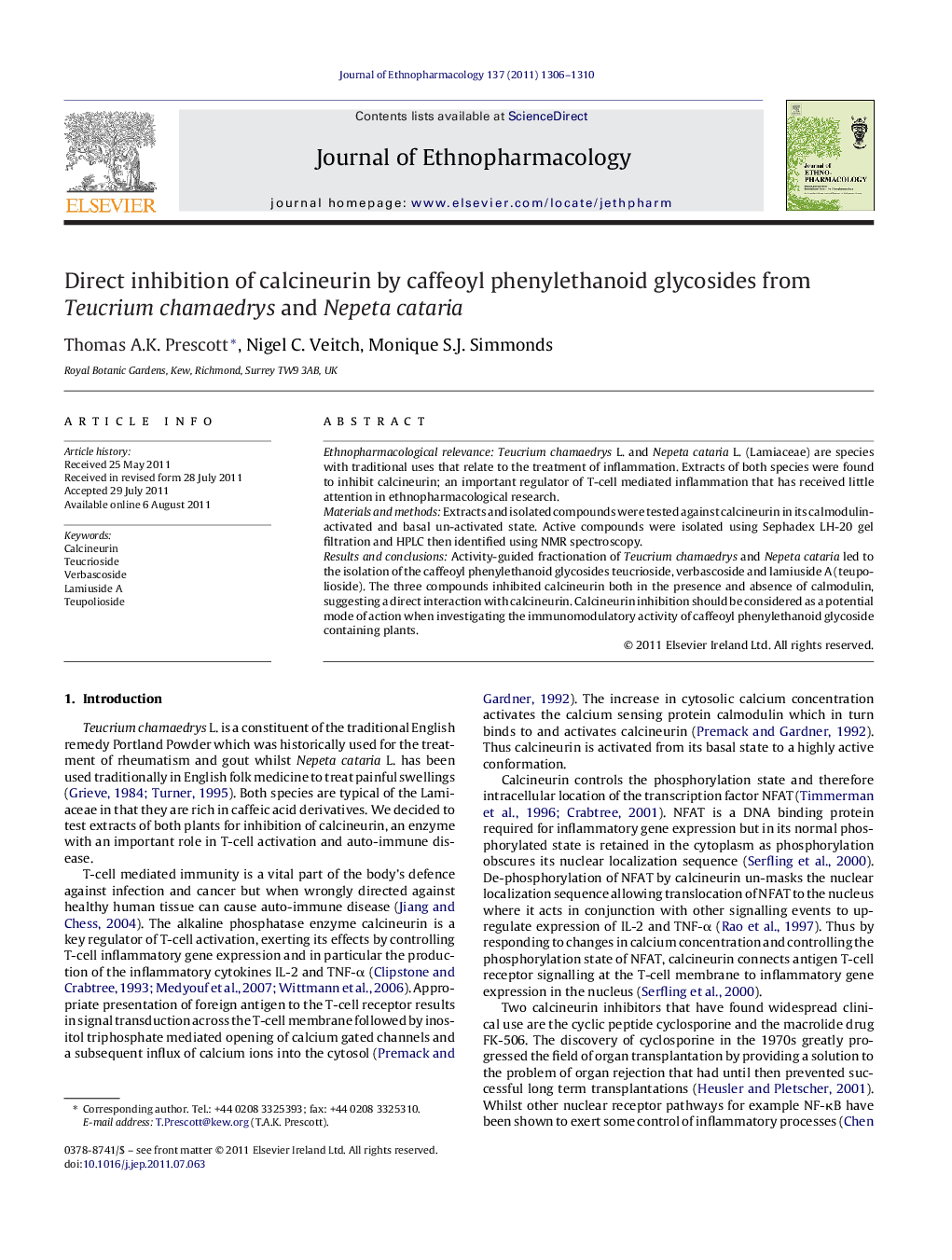 Direct inhibition of calcineurin by caffeoyl phenylethanoid glycosides from Teucrium chamaedrys and Nepeta cataria