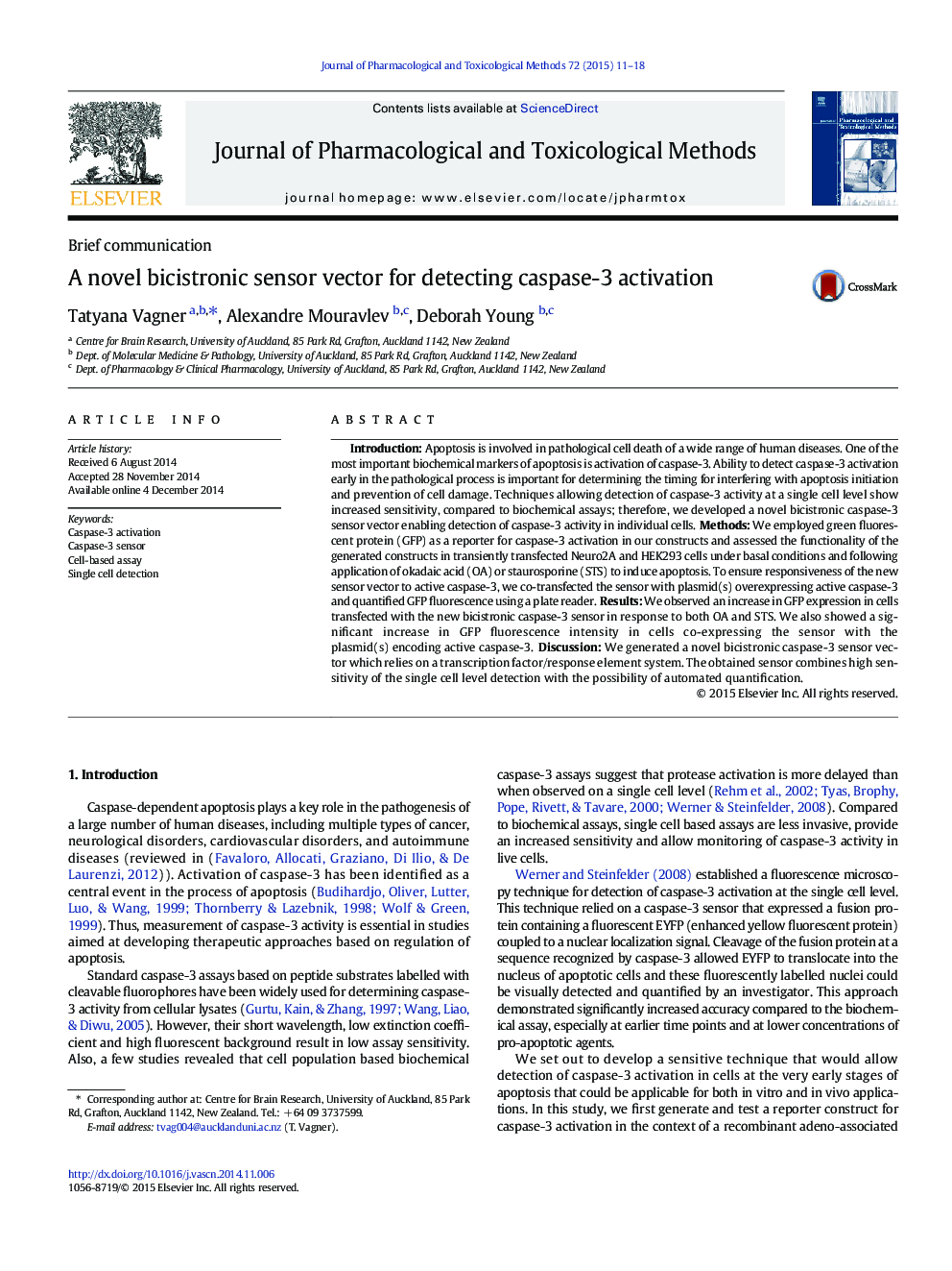 Brief communicationA novel bicistronic sensor vector for detecting caspase-3 activation