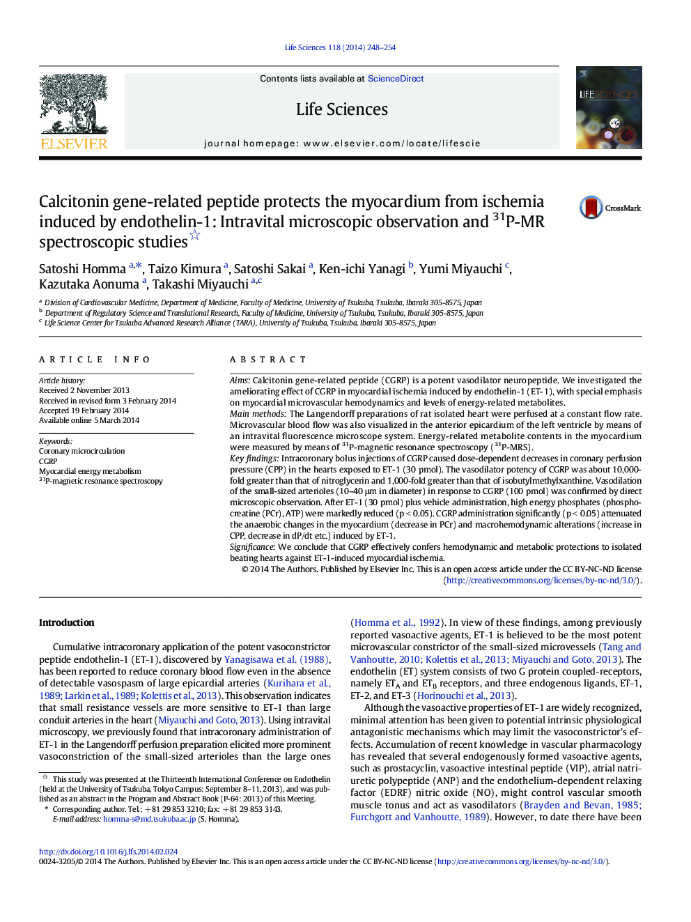 Calcitonin gene-related peptide protects the myocardium from ischemia induced by endothelin-1: Intravital microscopic observation and 31P-MR spectroscopic studies