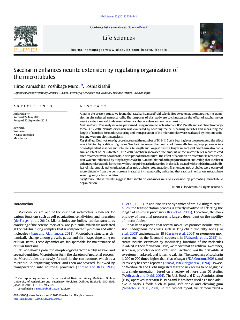 Saccharin enhances neurite extension by regulating organization of the microtubules