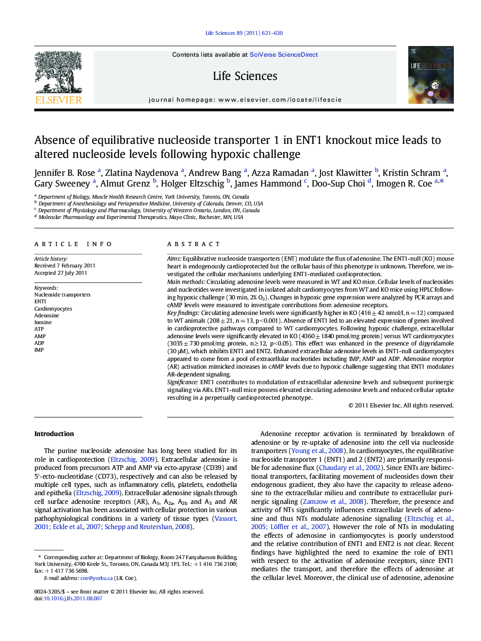 Absence of equilibrative nucleoside transporter 1 in ENT1 knockout mice leads to altered nucleoside levels following hypoxic challenge