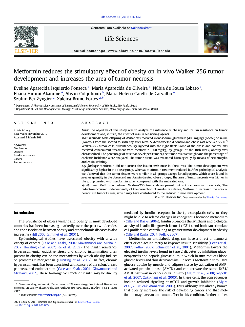 Metformin reduces the stimulatory effect of obesity on in vivo Walker-256 tumor development and increases the area of tumor necrosis