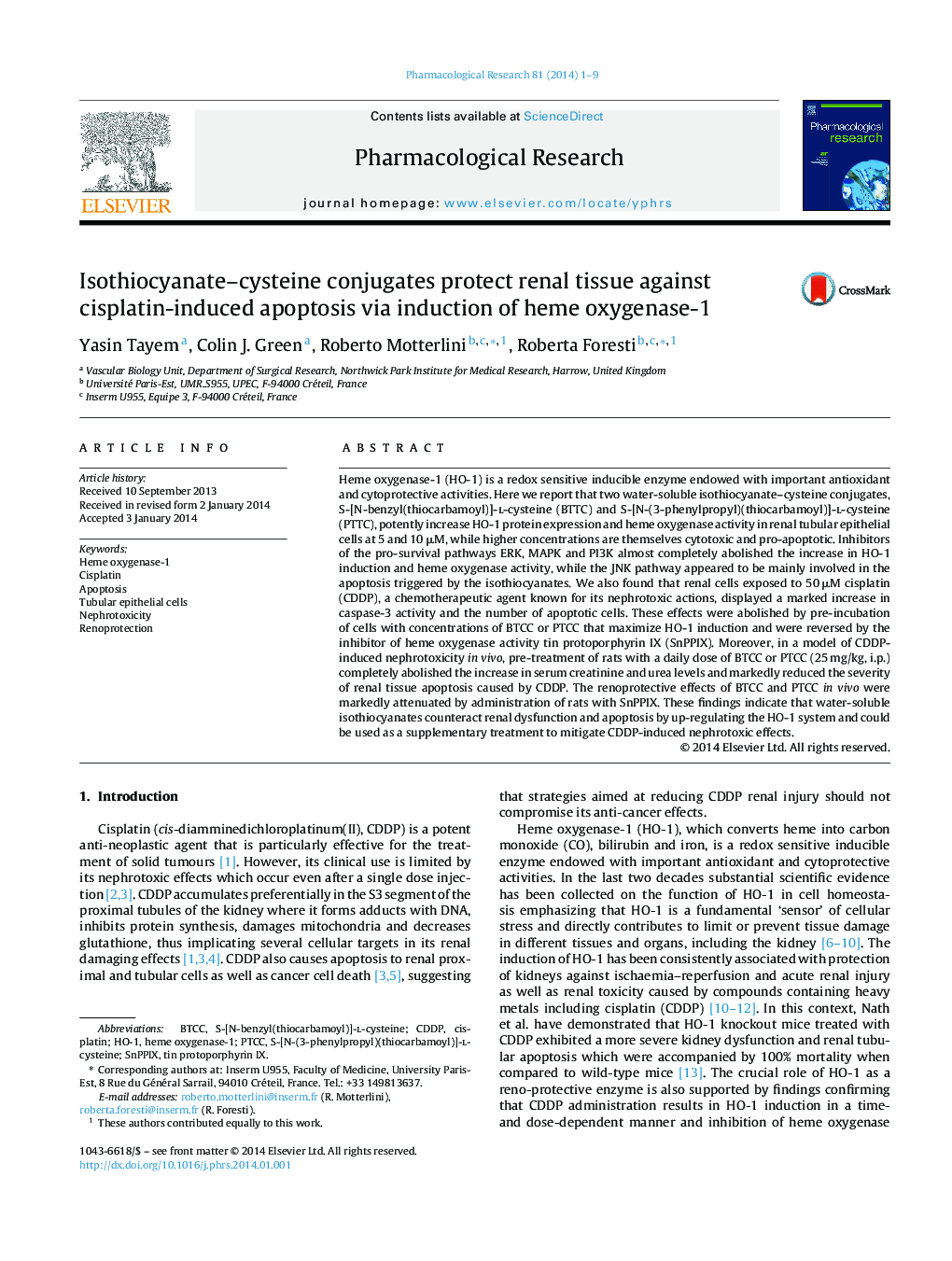 Isothiocyanate-cysteine conjugates protect renal tissue against cisplatin-induced apoptosis via induction of heme oxygenase-1