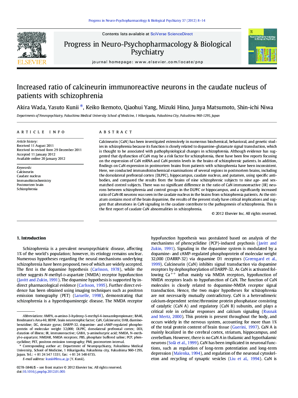 Increased ratio of calcineurin immunoreactive neurons in the caudate nucleus of patients with schizophrenia