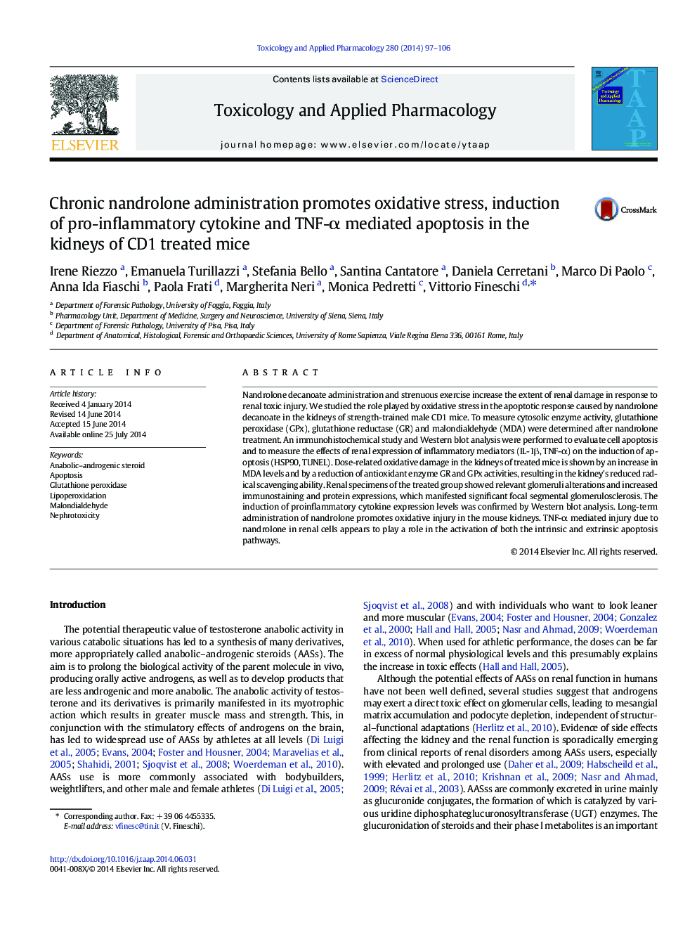 Chronic nandrolone administration promotes oxidative stress, induction of pro-inflammatory cytokine and TNF-Î± mediated apoptosis in the kidneys of CD1 treated mice